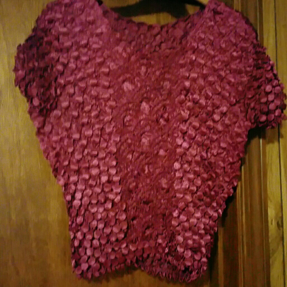 Burgundy Popcorn Blouse with two designs on front